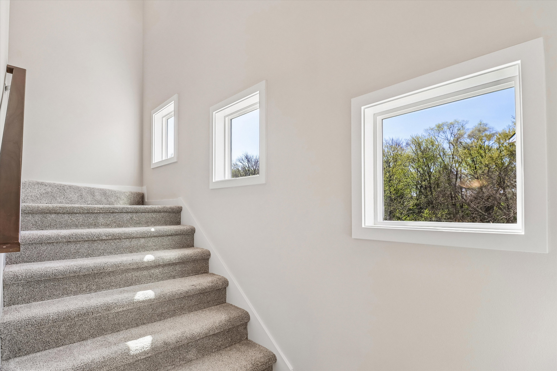 Carpeted stairs with a sculpted window wall flooding the home with light
